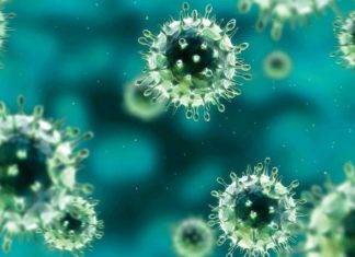 Reminder: CPS calls on community to hit germs where they live after illness