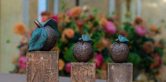 EC2 Saba on to ‘Appeltjes van Oranje’ finals, Player Development does well in semi-finals