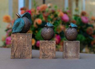 The Oranje Fonds kicks off its search for the Appeltjes van Oranje winners for 2021