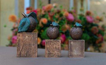 The Oranje Fonds kicks off its search for the Appeltjes van Oranje winners for 2021