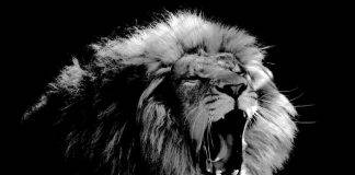 The Prophecy Of The Last Trumpet | The Bible’s Prophetic Announcement