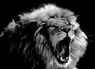 A Lesson From Abraham, Enoch, Moses, Elijah, And Paul