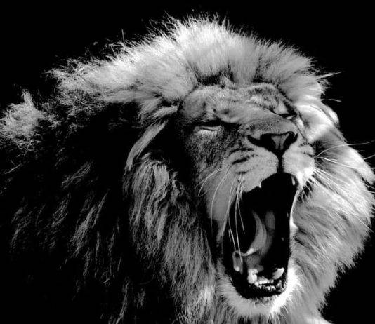 The Prophecy Of The Last Trumpet | The Bible’s Prophetic Announcement