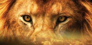 Moses’ Final WARNING – People Need To Know This