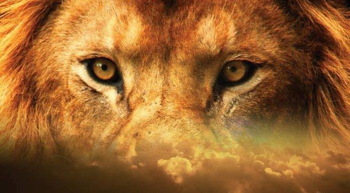 Moses’ Final WARNING – People Need To Know This