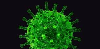 COVID NEWS UPDATE: November 16th and 17th