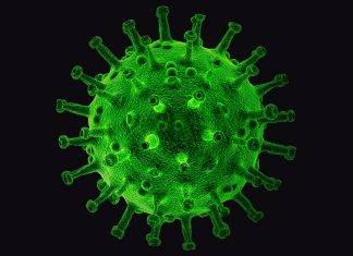 NOVEMBER 15 2020 COVID UPDATE: 10 new confirmed COVID-19 cases