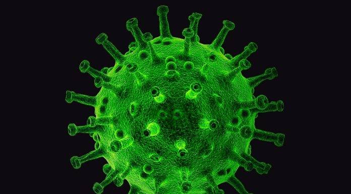 On December 30, eleven confirmed COVID-19 cases was reported