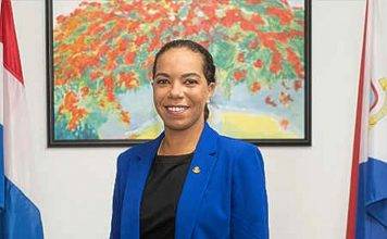 Foundation for Recovery Laid in 2020. Minister De Weever Expects Economy to Grow in 2021