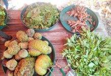 Minister Panneflek looking forward to the start of Agro ecology program