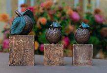 Sint Maarten and Saban NGO nominated for an ‘Appeltjes van Oranje’ Award.