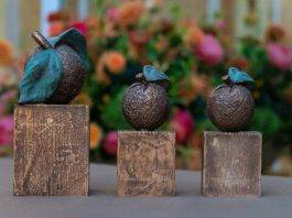 Sint Maarten and Saban NGO nominated for an ‘Appeltjes van Oranje’ Award.