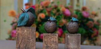 Expertise Center Education Care Saba Awarded Appeltje van Oranje
