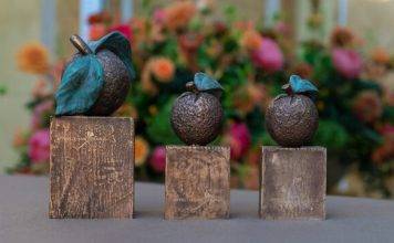 Sint Maarten and Saban NGO nominated for an ‘Appeltjes van Oranje’ Award.