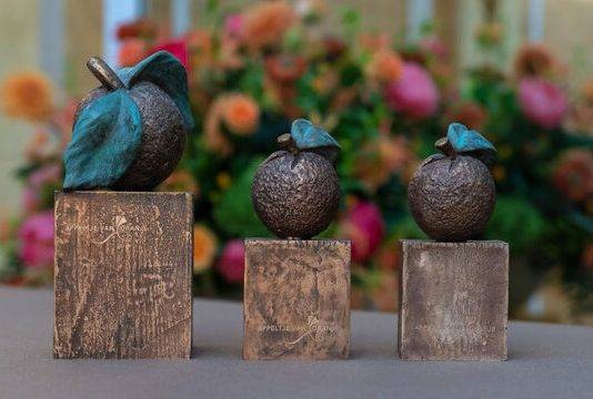 Expertise Center Education Care Saba Awarded Appeltje van Oranje