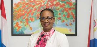 Prime Minister of Sint Maarten condemns shooting of journalist De Vries in the Netherlands