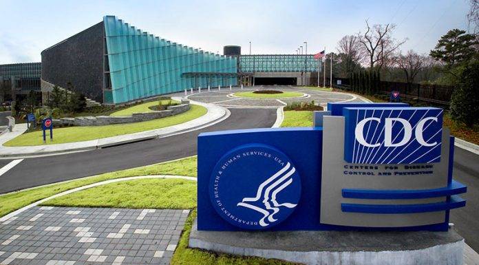 CDC Raises Warning for Cruise Travel