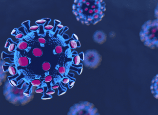 COVID UPDATE: DECEMBER 3 – 5, 2020