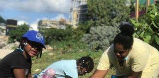 Re-greening SXM Project to Launch their Final Tree Planting Event