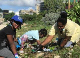 Re-greening SXM Project to Launch their Final Tree Planting Event