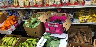 Pilot shipment to test new fresh produce supply line