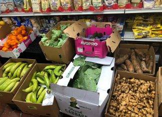 Pilot shipment to test new fresh produce supply line