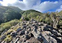 New KNMI monitoring station to be installed with assistance Defense