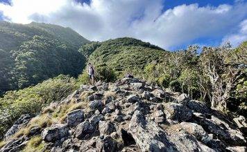 New KNMI monitoring station to be installed with assistance Defense