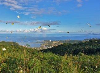 Guided tour and hike of SXM Hillside & Eco Resort