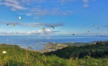 Guided tour and hike of SXM Hillside & Eco Resort