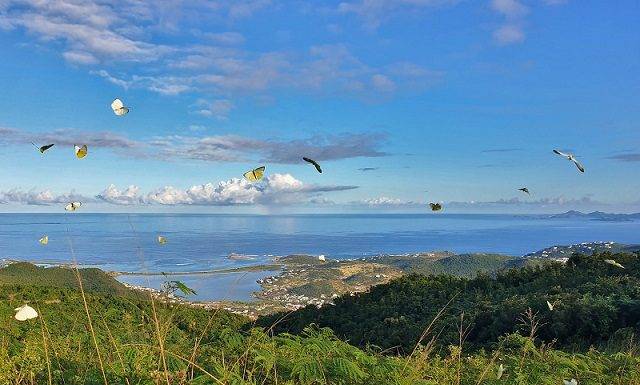 Guided tour and hike of SXM Hillside & Eco Resort