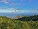 Guided tour and hike of SXM Hillside & Eco Resort