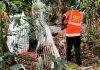 Quality Sweepers initiates hurricane season community cleaning campaign