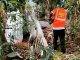 Quality Sweepers initiates hurricane season community cleaning campaign