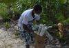 Nature Foundation St. Maarten Participates in New European Initiative to Reducing Ocean Plastic Litter