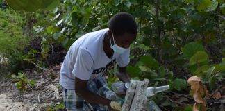 Nature Foundation St. Maarten Participates in New European Initiative to Reducing Ocean Plastic Litter