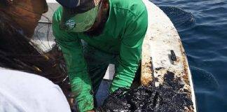 Prosecutor’s Office starts preliminary criminal investigation into GEBE oil spill