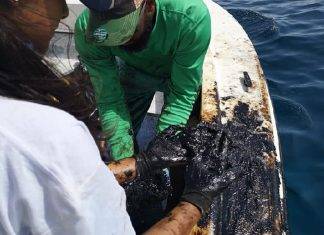 Prosecutor’s Office starts preliminary criminal investigation into GEBE oil spill