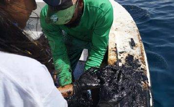 Prosecutor’s Office starts preliminary criminal investigation into GEBE oil spill