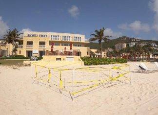 Nature Foundation St. Maarten Confirms Successful Sea Turtle Nesting on Dawn Beach