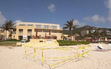 Nature Foundation St. Maarten Confirms Successful Sea Turtle Nesting on Dawn Beach