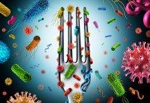 Food Safety Tips that Minimize Potential for Foodborne Illnesses during the Hurricane Season