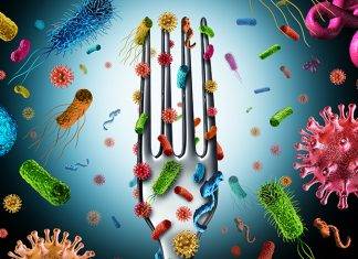 Food Safety Tips that Minimize Potential for Foodborne Illnesses during the Hurricane Season