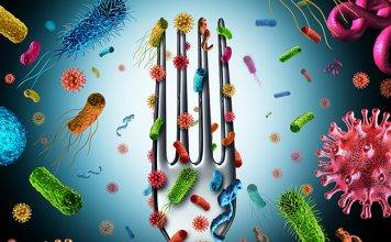 Food Safety Tips that Minimize Potential for Foodborne Illnesses during the Hurricane Season