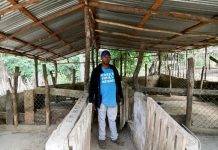 Temporary ban on all pork products originating from the Dominican Republic due to the outbreak of African Swine Fever