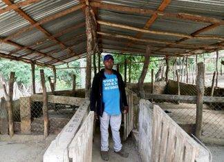 Temporary ban on all pork products originating from the Dominican Republic due to the outbreak of African Swine Fever