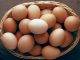 Three students arrested and fined for damaging cars with eggs