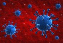 Delta infections among vaccinated likely contagious; Lambda variant shows vaccine resistance in lab