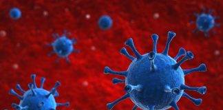 Delta infections among vaccinated likely contagious; Lambda variant shows vaccine resistance in lab