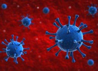 Delta infections among vaccinated likely contagious; Lambda variant shows vaccine resistance in lab
